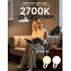 G45 LED Light Bulbs with E26 Base | 2700K Warm