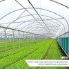 Elixir 2m Wide Black Polythene Sheeting Garden Cover Plastic (5m,