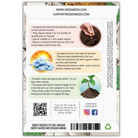 Seed Needs, Baby Boo Pumpkin Seeds - 50 Heirloom Seeds for Planting Cucurbita Pepo - Miniature White Pumpkins, Great for The Kids, Non-GMO & Untreated (1 Pack)