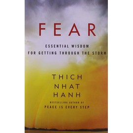 Fear: A Powerful Guide to Overcoming Uncertainties and Personal Terrors, and Finding Peace and Freedom from Anxiety, by Zen Master Thich Nhat Hanh