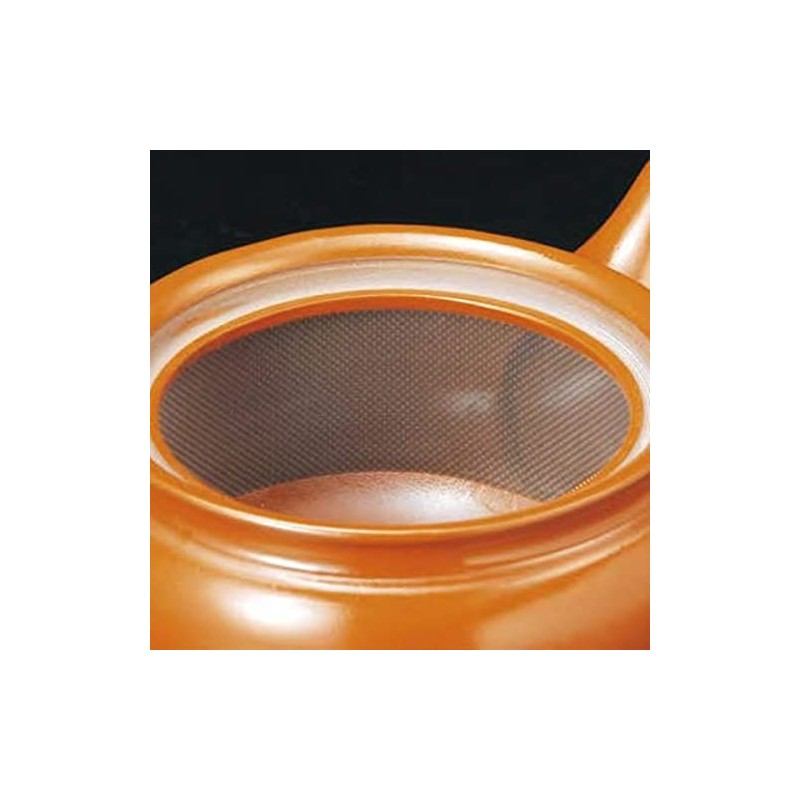 J-kitchens J-kitchens Teapot, Capacity (Approximate), 11.8 fl oz (320 cc)