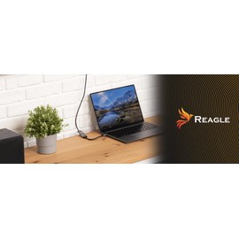 Reagle USB-C to VGA Adapter Full HD 1080p 60Hz USB Type-C 3.2 to VGA Monitor Converter Plug & Play Aluminium Housing Unidirectional Compatible with Laptop Tablet Smartphone