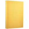 Nakabayashi TER-L3Y-140-Y Binder Type Pocket Album Terracotta, 3 Tier Large,