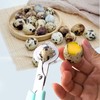 YILANJIN 2PCS Quail Egg Scissors, Anti-Rust Quail Eggs Opener, Shell