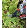 Greenman Premium 9" Heavy Duty Large Pruner Secateurs Very Sharp