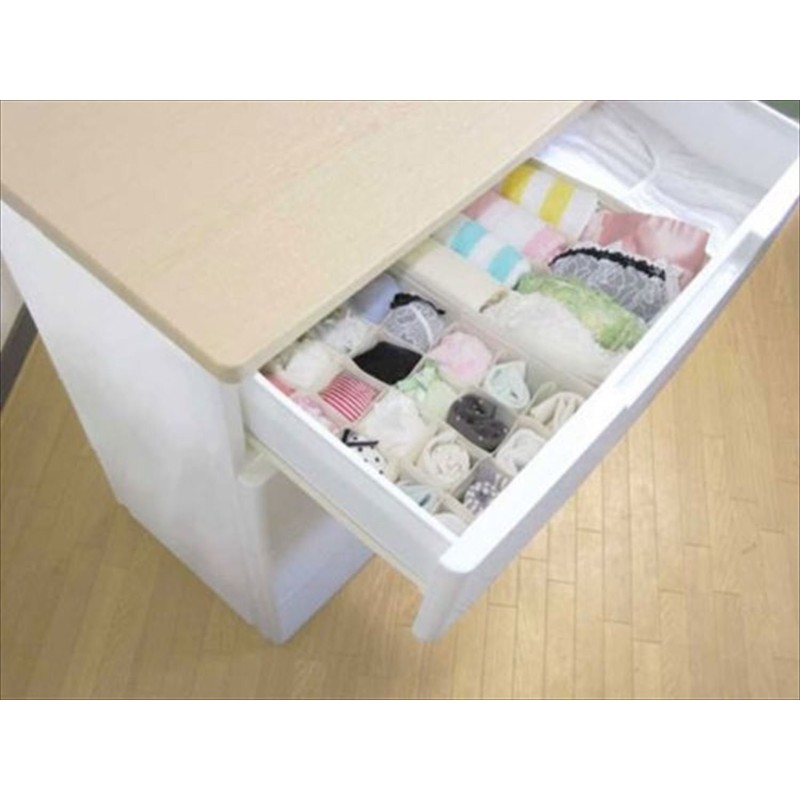 Toyo Case Partitioned Storage Box;