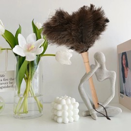 Household Natural Ostrich Hair Anti-static Dust Collector, Compact and Lightweight Car Dust Collector, Delivered in 3 Dayscolor: Natural