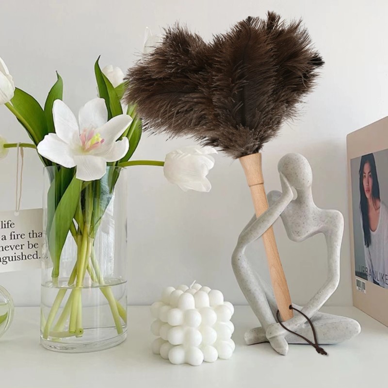 Household Natural Ostrich Hair Anti-static Dust Collector, Compact and Lightweight