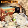Dino Fossil Dig Kit for Kids 4-12 Discover Learn with