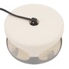 Sticky Dome Flea Capture Trap Bug Trap with 2 Glue