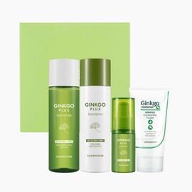 Jingko Plus Special Set 2 +2 Shopping Bags / 징코 플러스 스페셜세트 2개 +쇼핑백 2매