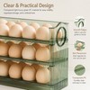 Large Egg Storage Box for Refrigerator – Transparent Egg Organizer