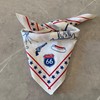 The Peacock Crew Patriotic USA Bandana in Premium Cotton for