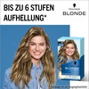 Nordic m1 meches super - Dyes for hair