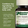 Standard Process Zinc Complex - Enzyme Function Support to Aid
