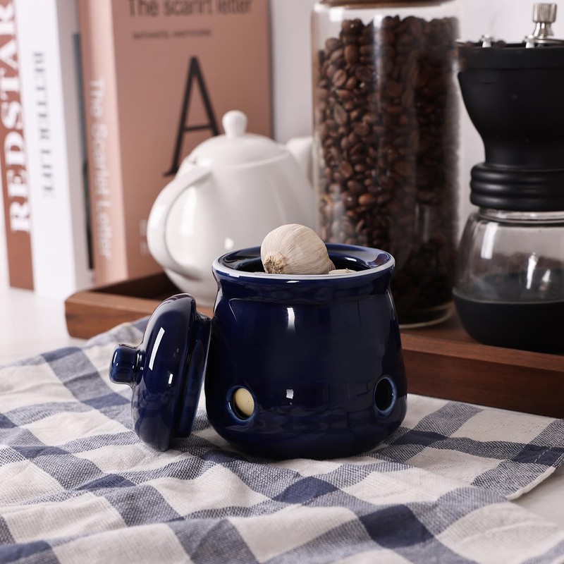 HAOTOP Ceramic Mini Garlic Keeper with Lid, Garlic Container Saver