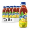 Snapple Lemon Tea 16 Fl Oz Pack of 12 All