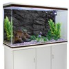 AWERT 72x24 inches Stone Aquarium Background Black Rock Fish Tank