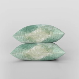 ggaimwf Throw Pillows for Sofa Abstract Cushion Covers Modern Art Mint Green Linen Decorative Cushions for Couch Bedroom Living Room Home Decor Outdoor Patio Balcony Couch Pillows 50x50cm Set of 2