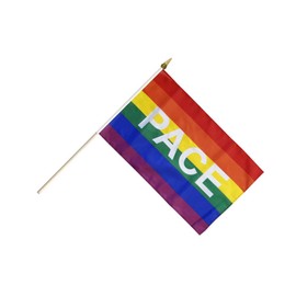 Flaggenfritze® Stick Flag Rainbow with Pace 30 x 45 cm