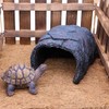Reptile Hides and Caves Resin Rock Bearded Dragon Hideout Reptile