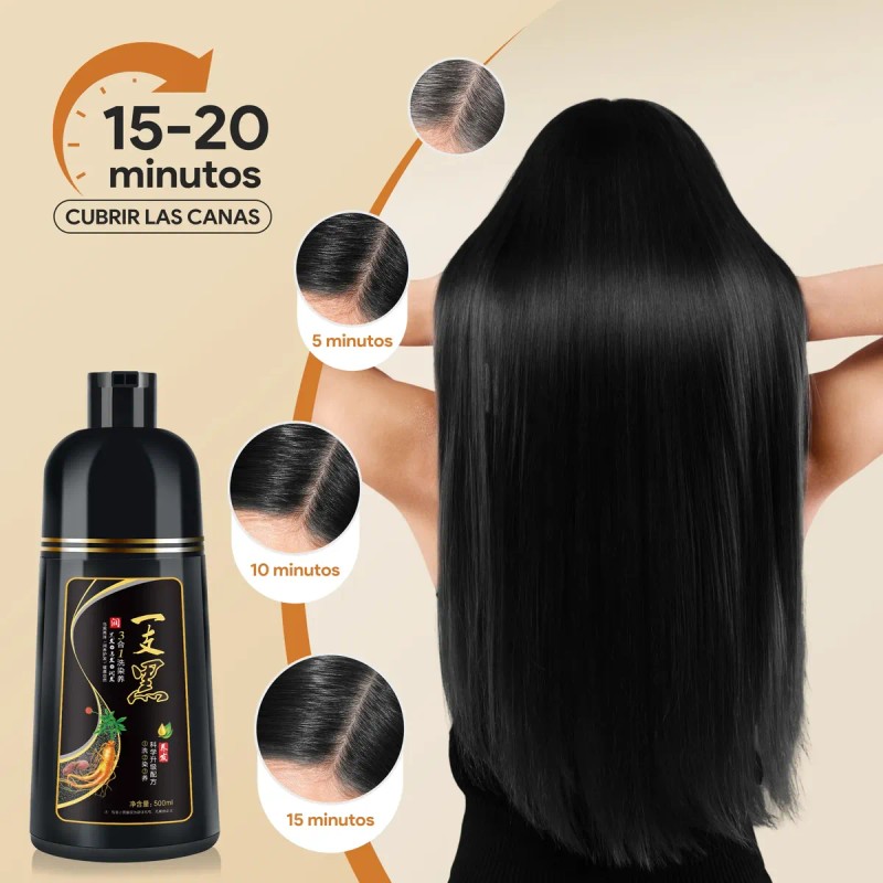 Shampoo Tinte Instantáneo Cubre Canas 3en1 Natural Jengibre