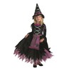 Disguise Fairytale Witch Costume - Small (2T)