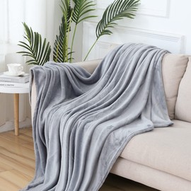 BYNZZUR Fleece Bed Blankets Queen Size Grey - Soft Lightweight Plush Fuzzy Cozy Luxury Blanket Microfiber, 90x60 inches (Grey)