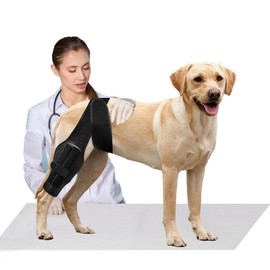 Tinzum S Dog Knee Brace for Torn Acl Hind Leg for Support with Cruciate Ligament Injury, Better Recovery with Dog Leg Braces for Back Leg