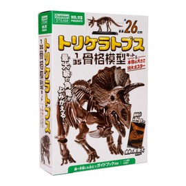 Gakken Q750808 Triceratops 1/35 Skeleton Model Kit & Real Size Extra Large Poster (Age:6+)