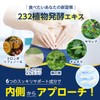 ISDG Dietary Thru Enzyme, Gold Enzyme, Vegetable Supplement, 232 Types