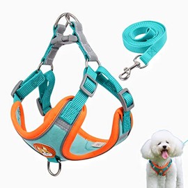 TUMYES Arnés para Perros, Arnés para Perro con Correa de 1.5m para Perros y Gatos Pequeños, Medianos, Ajustable, Anti Tirones, Diseño Reflectante de Seguridad, Cómodo y Transpirable (Azul, L)