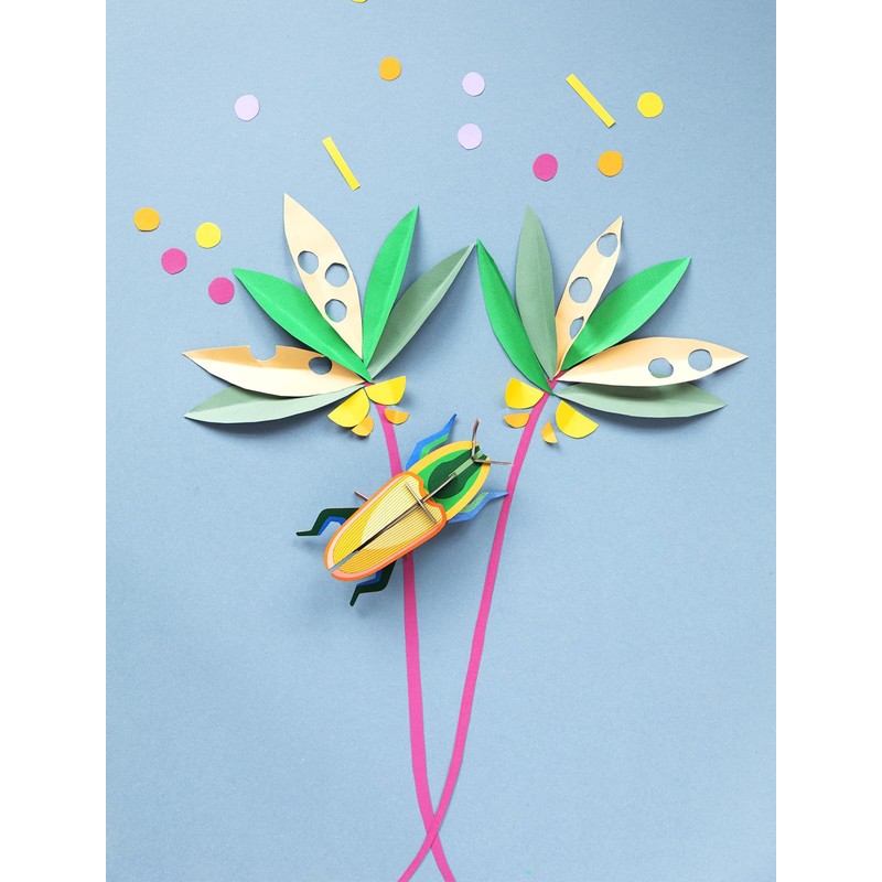 3D Madagascar Bette Strudio Roof Beetle