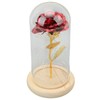 Rose in Glass Dome Lucky Beautiful Symbolism Romantic Enchanted Rose