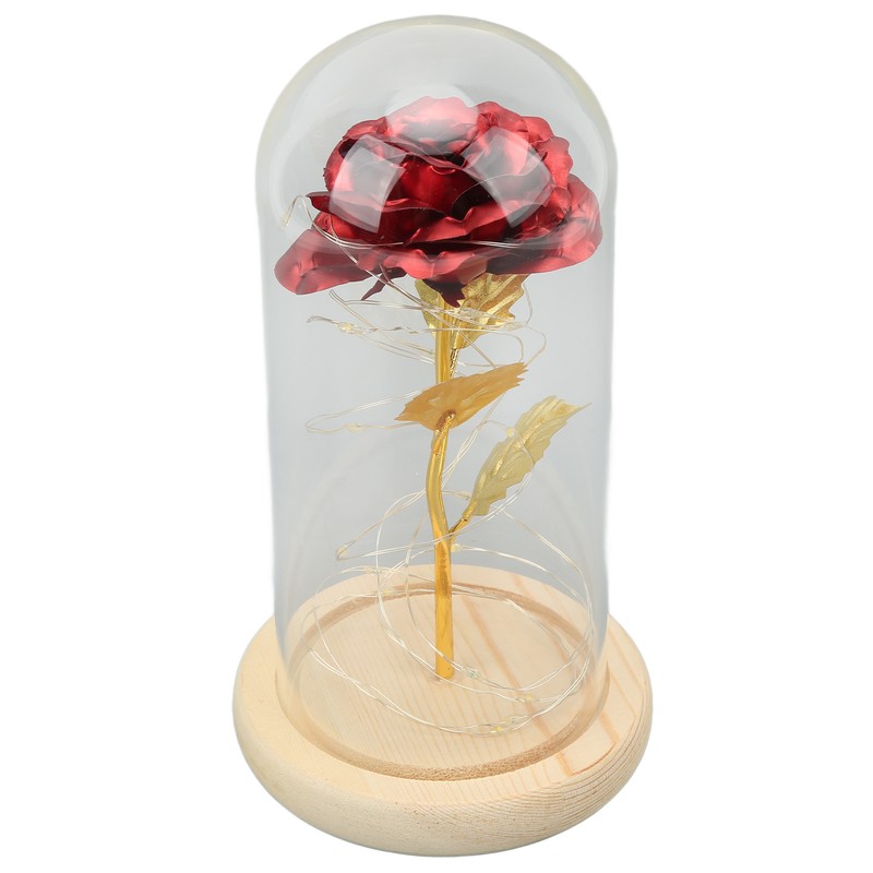 Rose in Glass Dome Lucky Beautiful Symbolism Romantic Enchanted Rose