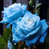 ZEshops 20pcs Broken Ice Blue Rose Seeds - Unveil the