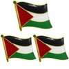 3 Pack Palestine Flag Pins - Metal National Palestinian Flag