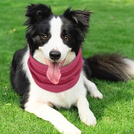 Cooling Collar for Dogs, Dog Bandanas Cooling, Dog Collar, Cooling Dog Collar, Suitable for Cooling Dogs in Summer, 35 x 11 cm