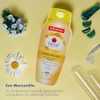 Benzal Wash Manzanilla, Jabon Intimo Femenino, Paquete de 3, 355ml
