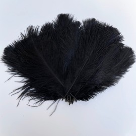 20pcs 6-8 Inches 15-20cm Ostrich Feathers DIY Craft Wedding Party Decoration (Black)