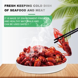 Cabilock Dry Ice Tray Sushi Dish Sushi Serving Plate Japanese Serving Dish Sushi Tray Salmon Sashimi Tray Dry Ice Food Serving Platter Appetizers Plate White