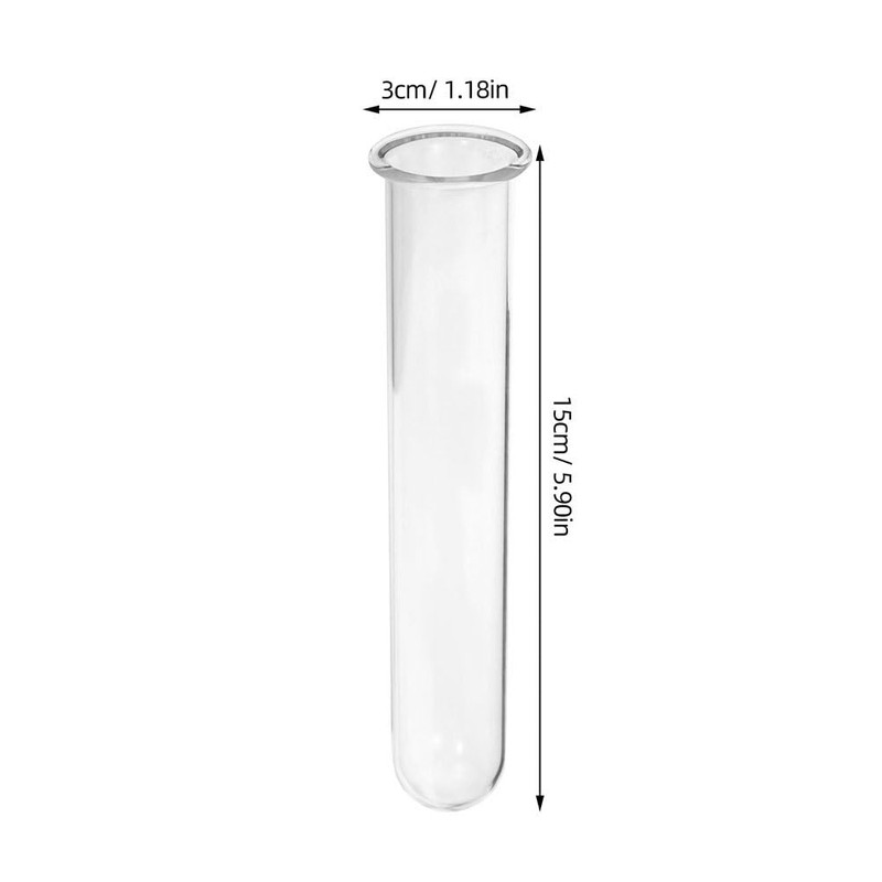 DECHOUS 6Pcs Clear Test Tubes for Plant 6 Inch Propagation