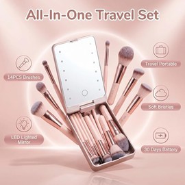 BS-MALL - Set de brochas de maquillaje con espejo LED, 14 piezas, base en polvo, correctores, sombras de ojos, mini brochas de maquillaje (APINK)