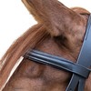 WALDHAUSEN Star Bridle Bitless