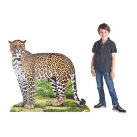 Fun Express Rainforest Leopard Stand UP - Party Decor - VBS Vacation Bible School Supplies/Decor - 1 Piece
