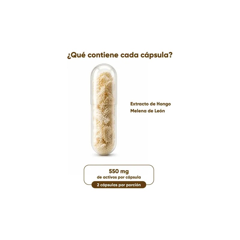 Hongo Melena De León 60 Cápsulas Lions Mane Mushroom Supplement,