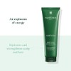 Rene Furterer Forticea Energizing Conditioner, Strengthen and Fortify Hair, Essential