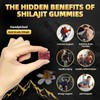 Newrish Gold Pure Shilajit Gummies | 85+ Trace Minerals &