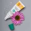 Burt’s Bees® Advanced Lip Relief with Shea Butter and Echinacea,