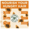 Garnier Fructis Hair Food Papaya 390mL